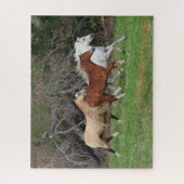 ボブラングリシュ | 3つのポニーランニングズが一緒に ジグソーパズル (縦)