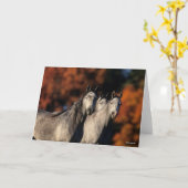 ボブラングリシュ | 3人の灰色のアラブが立ち並ぶ カード (黄色い花)