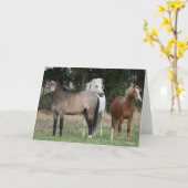 ボブラングリシュ | 3頭のポニーが一緒に立つ カード (黄色い花)