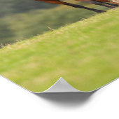 ボブラングリシュ | 4つのウェールズのポニーが立ち並ぶ ポスター (角)