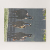 ボブラングリシュ | 4分の3の馬の若者 ジグソーパズル (横)