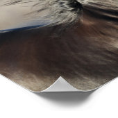 ボブラングリシュ | Andalucianヘッドショットマネ流れ ポスター (角)