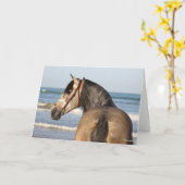 ボブラングリシュ | Andalucian Stallionヘッドショット海 カード (黄色い花)