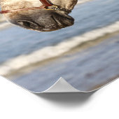 ボブラングリシュ | Andalucian Stallionヘッドショット海 ポスター (角)