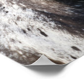 ボブラングリシュ | Appaloosaヘッドショット ポスター (角)