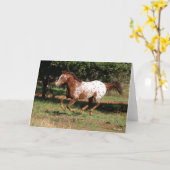 ボブラングリシュ | Appaloosa Horseランニング カード (黄色い花)