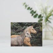 ボブラングリシュ | Bashkirカーリーホースのヘッドショット ポストカード (スタンド正面)