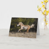 ボブラングリシュ | Bashkirカーリーランニングスタリオン カード (黄色い花)