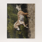 ボブラングリシュ | Bashkirカーリーランニングスタリオン ジグソーパズル (縦)