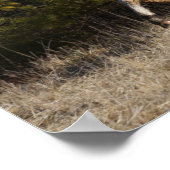 ボブラングリシュ | Bashkirカーリーランニングスタリオン ポスター (角)