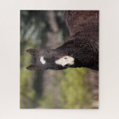 ボブラングリシュ | Bashkir Crile Mareヘッドショット ジグソーパズル (縦)