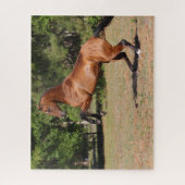 ボブラングリシュ Bay Akhal Teke Stallion Bearing ジグソーパズル (縦)