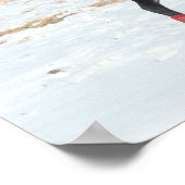 ボブラングリシュ | Bay Arab Horseランニングの雪 ポスター (角)