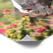 ボブラングリシュ | Black Andalucian Stallionヘッドショット ポスター (角)