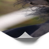 ボブラングリシュ | Black Andalucian Stallion Headshot ポスター (角)