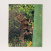 ボブラングリシュ | Brown Rocky Mountain Horse ランニング's ジグソーパズル (縦)