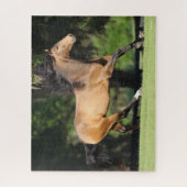 ボブラングリシュ | Buckskin Lusitano ランニングの ジグソーパズル (縦)