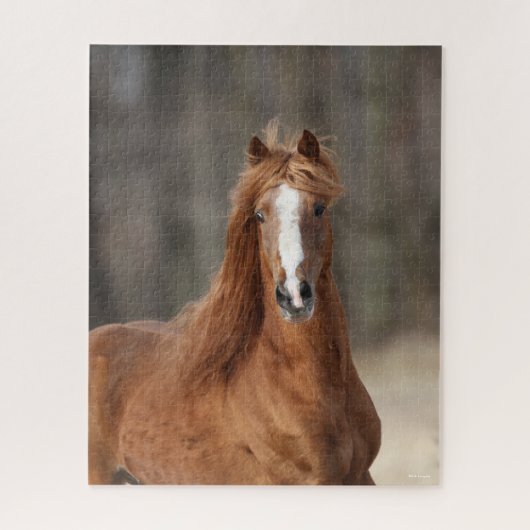 ボブラングリシュ | Chestnut Hackneyヘッドショット ジグソーパズル (縦)