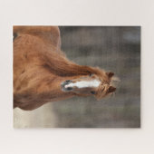 ボブラングリシュ | Chestnut Hackneyヘッドショット ジグソーパズル (横)