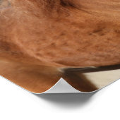 ボブラングリシュ | Chestnut Hackneyヘッドショット ポスター (角)