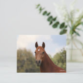 ボブラングリシュ | Chestnut Oldenburgヘッドショット ポストカード (スタンド正面)