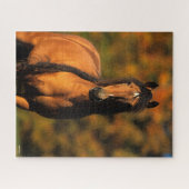 ボブラングリシュ | Chocktaw Ponyスタンディングヘッドショット ジグソーパズル (横)