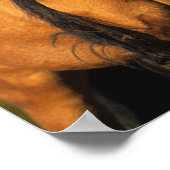 ボブラングリシュ | Chocktaw Ponyスタンディングヘッドショット ポスター (角)