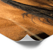 ボブラングリシュ | Choctaw Ponyヘッドショット ポスター (角)