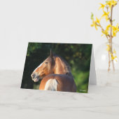 ボブラングリシュ | Clydesdale Horseヘッドショット カード (黄色い花)