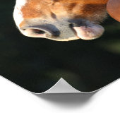 ボブラングリシュ | Clydesdale Horseヘッドショット ポスター (角)