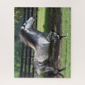 ボブラングリシュ | Dapple Gray Lusitano Stallion ジグソーパズル (縦)