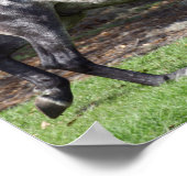 ボブラングリシュ | Dapple Gray Lusitano Stallion ポスター (角)