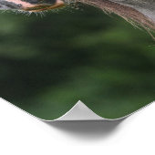 ボブラングリシュ | Dapple Gray Welsh Ponyヘッドショット ポスター (角)