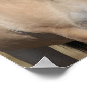 ボブラングリシュ | Fjord Horse Standing Headshot ポスター (角)