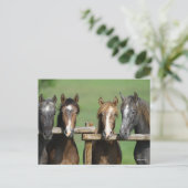 ボブラングリシュ | Four Andalucian Youngstock At Fence ポストカード (スタンド正面)