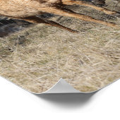 ボブラングリシュ | Four Bashkir Chrill ランニング Horse ポスター (角)