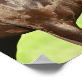 ボブラングリシュ | Friesian Horse Sting Headshot ポスター (角)