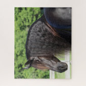 ボブラングリシュ | Friesiian Horse sting headshot ジグソーパズル (縦)