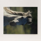 ボブラングリシュ | Gray Andalucianヘッドショットバックライト ジグソーパズル (横)