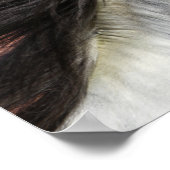 ボブラングリシュ | Gray Andalucian Stallionヘッドショット3 ポスター (角)