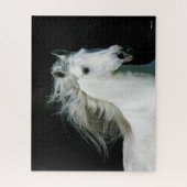 ボブラングリシュ | Gray Andalucian Stallionヘッドショット ジグソーパズル (縦)