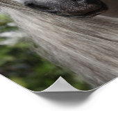 ボブラングリシュ | Gray Andalucian Stallionヘッドショット ポスター (角)