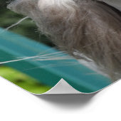 ボブラングリシュ | Gray Andalucian Stallionヘッドショット ポスター (角)