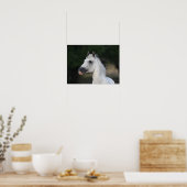 ボブラングリシュ | Gray Andalucian Stallion Headshot 6 ポスター (キッチン)