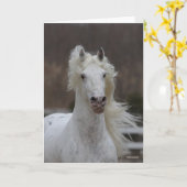 ボブラングリシュ | Gray Frisian Appaloosaヘッドショット カード (黄色い花)