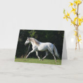 ボブラングリシュ | Gray Lusitano Stallion カード (黄色い花)