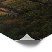 ボブラングリシュ | Gray Percheron Stiting In Sunset ポスター (角)