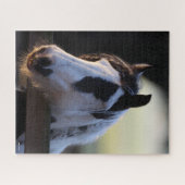 ボブラングリシュ | Gypsy Vannerがフェンス越しに見る ジグソーパズル (横)