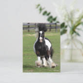 ボブラングリシュ | Gypsy Vanner ランニングS ポストカード (スタンド正面)