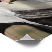 ボブラングリシュ | Gypsy Vanner Headshot Mane Flowing ポスター (角)